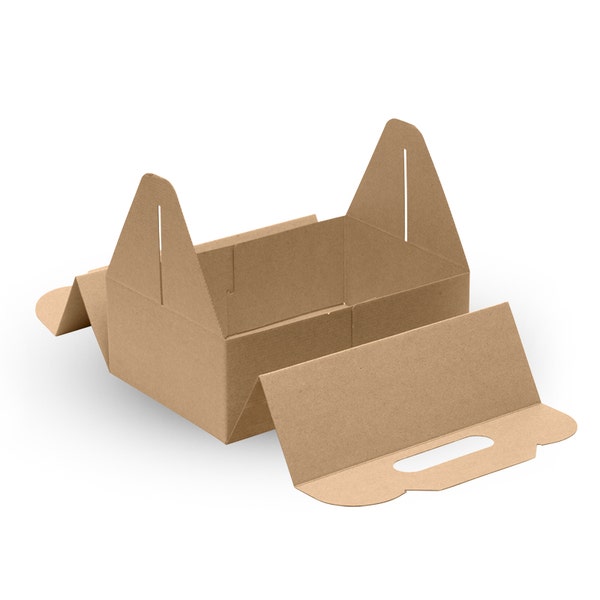 BioPak Carry Tray Box - (Pack of 100)