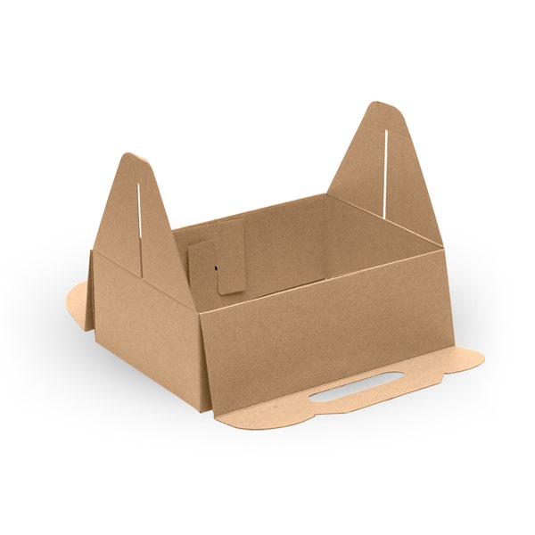 BioPak Carry Tray Box - (Pack of 100)