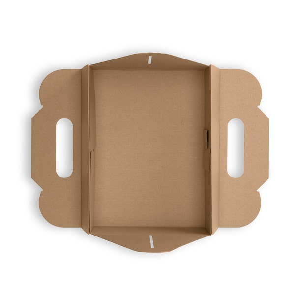 BioPak Carry Tray Box - (Pack of 100)