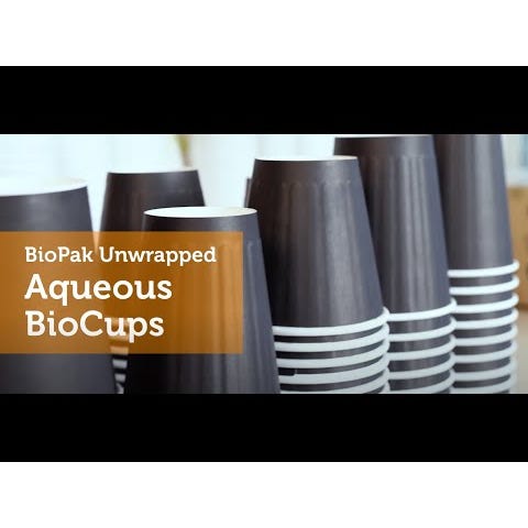 BioPak 390ml / 12oz (90mm) Black Single Wall BioCup - (Pack of 1000)