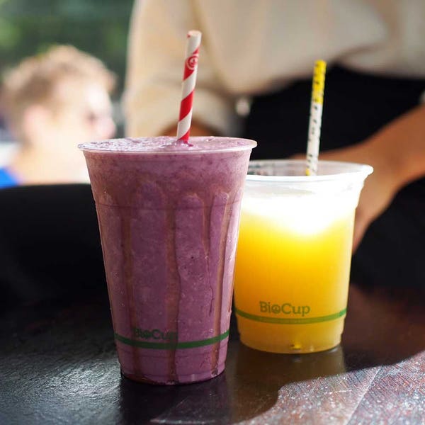 BioPak 6mm Regular Red Stripe BioStraw - (Pack of 2500)