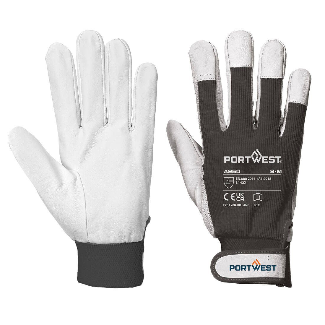 PORTWEST Tergsus Glove - A250