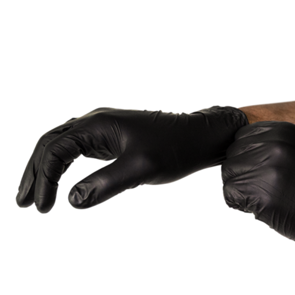 AEROGLOVE Large Black Nitrile Powder-Free Gloves Bag/2 - (Pack of 10)