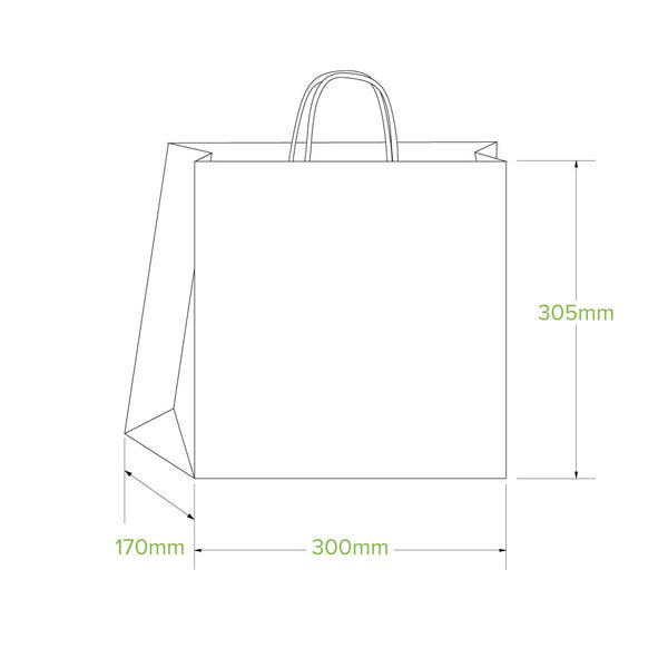 BioPak 300x170x305mm Large Twist Handle Kraft Paper Bags - (Pack of 250)